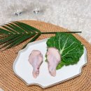 신선에프엔씨 이미지