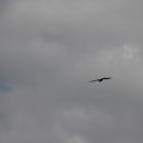 갈맷길(4-1구간) 이미지