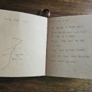 제주브리즈 | 제주 동쪽 감성 숙소 ‘월정브리즈 숙박 후기’