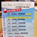 우산리 | [나주] 광주 근교 액티비티, 경비행기 체험 비행 &lt;알파트로스 항공&gt; #내돈내산