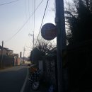 도요새민박