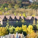 홈브리지 캐빈호스텔 이미지