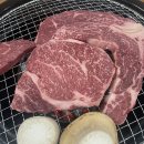 태백한우직판장 티스토리