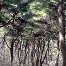 어송농장 이미지