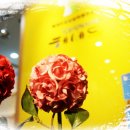 헤세드지역아동센터 이미지