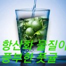 안녕하세요 귤청담는 풋귤(청귤)주문받습니다 이미지