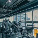 고구마 휘트니스 | 면목동헬스장 고구마휘트니스 면목점 PT 후기, 바디프로필 준비를 위한 완벽한 선택