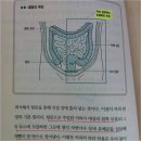 모든 질병의 뿌리는 장(腸) 이미지