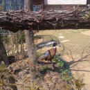 프라임펜션 이미지