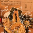 사쿠사쿠