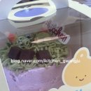 지한유치원 이미지
