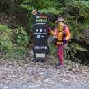 천년숲서로(동) 이미지