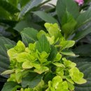 칠량농장 이미지