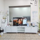 관문동물병원 이미지