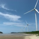 해변 태양광발전소 뉴스1