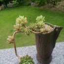 청성슈퍼 이미지