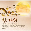 디씨90안경 이미지