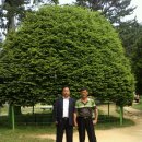 넙도초등학교 이미지