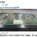 독도세탁 이미지