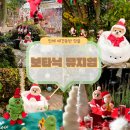 망토 두른 강아지 | 진해 핫플 ｜크리스마스 시즌이 시작된 진해 보타닉뮤지엄