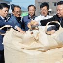 영광군농협쌀조합공동사업법인 이미지