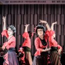 플라멩코댄스 이미지