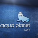 도로시팜 | 일산 아쿠아플라넷에 물고기 보러 다녀왔어요