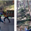 국립대관령치유의숲 이미지