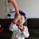 쁘띠쏭