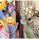 리얼카서비스 이미지