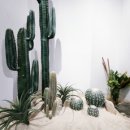 솔빛로 83 이미지