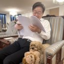 우리강아지 이미지