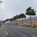 도청대로 이미지