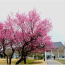 국립광주박물관 이미지