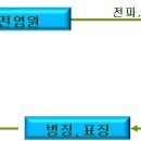 호두나무 병충해에 대하여 기초적 이해가 필요하다 생각합니다.-펌글 이미지