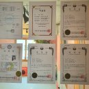 워킹페코 이미지