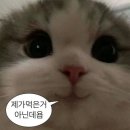 머꼬또머꼬 이미지