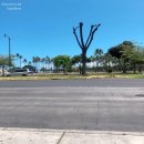 브루(BRUE) 이미지