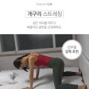 골반교정/앞벅지 살엔 개구리자세 스트레칭해라 이미지