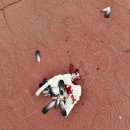 방화근린공원 관리사무소 이미지