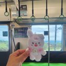 오토토 | 6월 혼자 교토 여행 3박4일 3일차 우지 여행 오차즈케 오토토, 오카자키 토끼신사