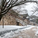 추워도 매력만점*̥❄︎‧˚ 겨울 경주 인기 스팟 랜선 여행 [2] 이미지