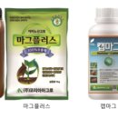 신화엔텍