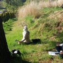 참살이 협동조합 이미지