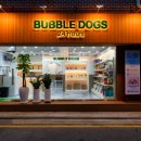버블독스송파 | 버블독스 송파점 루카스워시 설치 후기