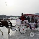 어리 연합뉴스