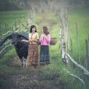 국제이민행정사 이미지