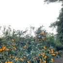 우도팬션별빛결 이미지