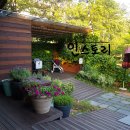 향원이네다육 | [경기/안산] 유니스의 정원 야외정원, 이풀실내정원