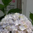 위딩 이미지